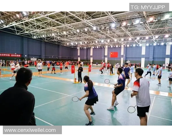 羽毛球速度排行榜揭晓北京羽毛球队荣登第八名引关注