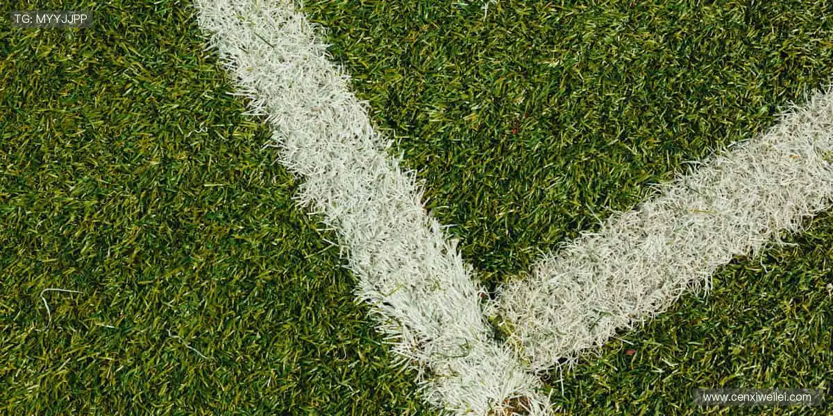 💪专业装备，品质之选！🏋️提升性能，超越自我！